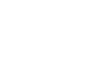 sheild icon
